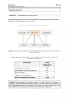 Vorschau - Klassenarbeiten - Biologie Klausuraufgabe Ökologie (mit Erwartungshorizont) – KOSTENLOSE Probeaufgabe: Asiatische Hornisse, Nahrungsnetz & ökologische Nische – Oberstufe NRW - Seite 3