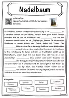 Vorschau - Unterrichtsreihen - Nadelbaum Lückentext mit Wortspeicher Hörverstehen und Suchsel - Seite 1