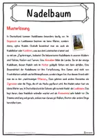 Vorschau - Unterrichtsreihen - Nadelbaum Lückentext mit Wortspeicher Hörverstehen und Suchsel - Seite 2