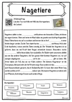 Vorschau - Unterrichtsreihen - Nagetiere Lückentext mit Wortspeicher Hörverstehen und Suchsel - Seite 1