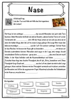 Vorschau - Unterrichtsreihen - Nase Lückentext mit Wortspeicher Hörverstehen und Suchsel - Seite 1