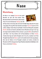 Vorschau - Unterrichtsreihen - Nase Lückentext mit Wortspeicher Hörverstehen und Suchsel - Seite 2