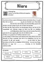 Vorschau - Unterrichtsreihen - Niere Lückentext mit Wortspeicher Hörverstehen und Suchsel - Seite 1