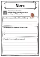 Vorschau - Unterrichtsreihen - Niere Lückentext mit Wortspeicher Hörverstehen und Suchsel - Seite 3