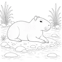 Vorschau - Mal- und Bastelvorlagen - Capybara Ausmalbilder (50 realistische Malvorlagen) inkl. Stundenentwurf (PDF) - Seite 3