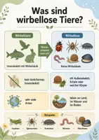 Vorschau - Arbeitsblätter - Wirbellose Tiere entdecken – Insekten, Spinnen, Krebstiere, Würmer und Weichtiere - Seite 3