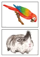 Vorschau - Arbeitsblätter - Mini Materialpaket Pets - Seite 3