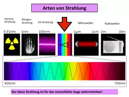 Vorschau - Stundenentwürfe - Farbwahrnehmung – Wie wir Farben sehen (Infopräsentation) - Seite 2