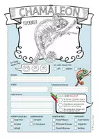 Vorschau - Arbeitsblätter - Chamäleon – Steckbrief & Infotext (Kl. 2–4) - Seite 2