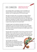 Vorschau - Arbeitsblätter - Chamäleon – Steckbrief & Infotext (Kl. 2–4) - Seite 3