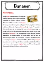 Vorschau - Unterrichtsreihen - Bananen Lückentext mit Wortspeicher Hörverstehen und Suchsel - Seite 2