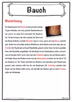 Vorschau - Unterrichtsreihen - Bauch Lückentext mit Wortspeicher Hörverstehen und Suchsel - Seite 2