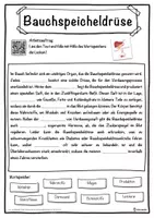 Vorschau - Unterrichtsreihen - Bauchspeicheldrüse Lückentext mit Wortspeicher Hörverstehen und Suchsel - Seite 1