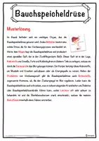 Vorschau - Unterrichtsreihen - Bauchspeicheldrüse Lückentext mit Wortspeicher Hörverstehen und Suchsel - Seite 2
