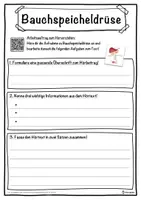 Vorschau - Unterrichtsreihen - Bauchspeicheldrüse Lückentext mit Wortspeicher Hörverstehen und Suchsel - Seite 3