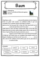 Vorschau - Unterrichtsreihen - Baum Lückentext mit Wortspeicher Hörverstehen und Suchsel - Seite 1