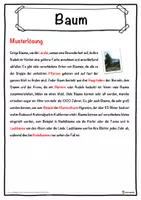 Vorschau - Unterrichtsreihen - Baum Lückentext mit Wortspeicher Hörverstehen und Suchsel - Seite 2