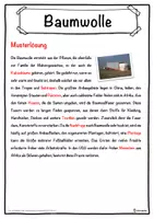 Vorschau - Unterrichtsreihen - Baumwolle Lückentext mit Wortspeicher Hörverstehen und Suchsel - Seite 2