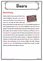 Vorschau - Unterrichtsreihen - Beere Lückentext mit Wortspeicher Hörverstehen und Suchsel - Seite 2