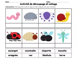 Aperçu - Feuilles d'exercices - Les insectes Découpe et colle - Page 3