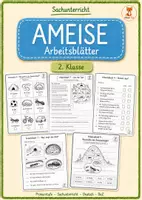 Vorschau - Arbeitsblätter - Ameise Arbeitsblätter – 2. Klasse 🐜✏️ - Deckblatt