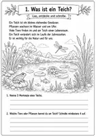 Vorschau - Stationenlernen - Materialpaket Wasser & Gewässer - Sachunterricht - Seite 2