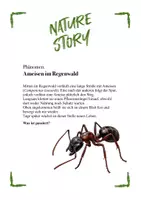 Vorschau - Quiz - Materialprobe Nature Stories: Biologische Rätselgeschichten für Sek. I & II - Seite 3