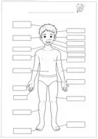 Vorschau - Arbeitsblätter - Bildwörterbuch - Sprachneutral mit über 50 Themen - Seite 3
