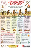 anteprima - Mappe concettuali - Mappa sull'evoluzione dell'uomo - Pagina di copertina