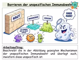 Vorschau - Stundenentwürfe - Immunbiologie / Immunsystem – großes Komplettpaket | Immunabwehr, Impfung, Allergie & Krankheitserreger - Seite 3