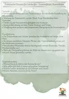 Vorschau - Arbeitsblätter - Auf in die Sommerferien! Ausmalbilder (Vorlagen) - Seite 2