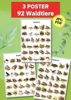 Vorschau - Poster - Lernposter Waldtiere – 92 Tiere kennenlernen | Sachunterricht & Sprachförderung DIN A4/A3 - Deckblatt
