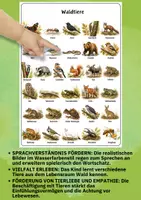 Vorschau - Poster - Lernposter Waldtiere – 92 Tiere kennenlernen | Sachunterricht & Sprachförderung DIN A4/A3 - Seite 1