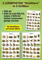 Vorschau - Poster - Lernposter Waldtiere – 92 Tiere kennenlernen | Sachunterricht & Sprachförderung DIN A4/A3 - Seite 3