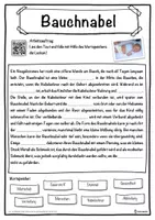 Vorschau - Unterrichtsreihen - Bauchnabel Lückentext mit Wortspeicher Hörverstehen und Suchsel - Seite 1