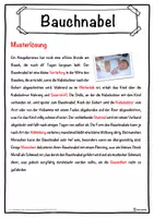 Vorschau - Unterrichtsreihen - Bauchnabel Lückentext mit Wortspeicher Hörverstehen und Suchsel - Seite 2