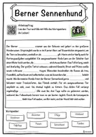 Vorschau - Unterrichtsreihen - Berner Sennenhund Lückentext mit Wortspeicher Hörverstehen und Suchsel - Seite 1