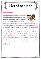 Vorschau - Unterrichtsreihen - Bernhardiner Lückentext mit Wortspeicher Hörverstehen und Suchsel - Seite 2