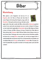 Vorschau - Unterrichtsreihen - Biber Lückentext mit Wortspeicher Hörverstehen und Suchsel - Seite 2
