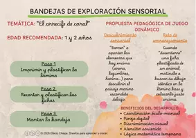 Vista previa - Tarjetas / Manipulativos - Sumérgete en el fascinante mundo marino - página 3