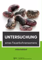 Vorschau - Arbeitsblätter - Untersuchung eines Feuerbohnensamens - Deckblatt