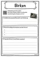 Vorschau - Unterrichtsreihen - Birken Lückentext mit Wortspeicher Hörverstehen und Suchsel - Seite 3