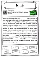 Vorschau - Unterrichtsreihen - Blatt Lückentext mit Wortspeicher Hörverstehen und Suchsel - Seite 1