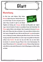 Vorschau - Unterrichtsreihen - Blatt Lückentext mit Wortspeicher Hörverstehen und Suchsel - Seite 2
