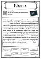 Vorschau - Unterrichtsreihen - Blauwal Lückentext mit Wortspeicher Hörverstehen und Suchsel - Seite 1