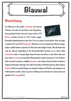 Vorschau - Unterrichtsreihen - Blauwal Lückentext mit Wortspeicher Hörverstehen und Suchsel - Seite 2