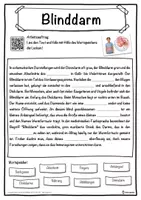 Vorschau - Unterrichtsreihen - Blinddarm Lückentext mit Wortspeicher Hörverstehen und Suchsel - Seite 1