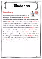 Vorschau - Unterrichtsreihen - Blinddarm Lückentext mit Wortspeicher Hörverstehen und Suchsel - Seite 2