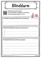 Vorschau - Unterrichtsreihen - Blinddarm Lückentext mit Wortspeicher Hörverstehen und Suchsel - Seite 3