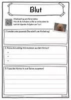 Vorschau - Unterrichtsreihen - Blut Lückentext mit Wortspeicher Hörverstehen und Suchsel - Seite 3